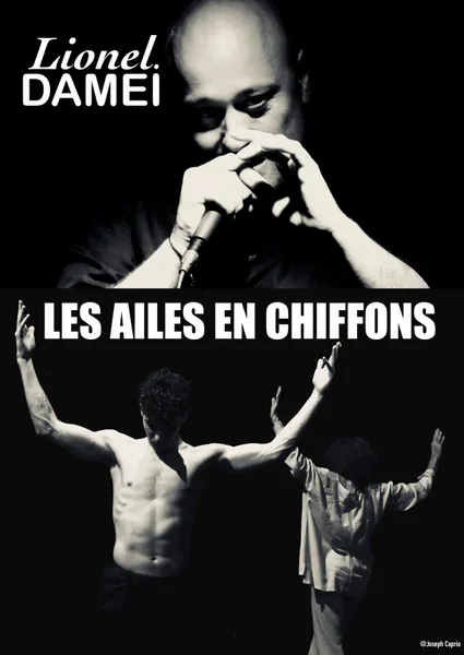 Lionel DAMEI a fêté ses 40 ans de chansons en mouvement