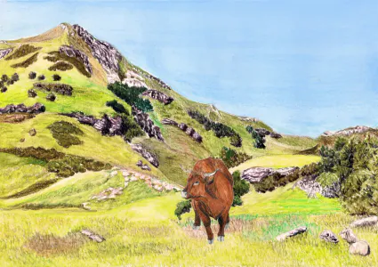 Les prochains rendez-vous des contes à Nounette