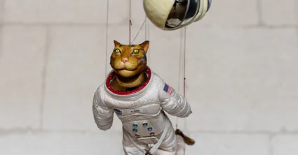 Expo les animaux ca vous parlent