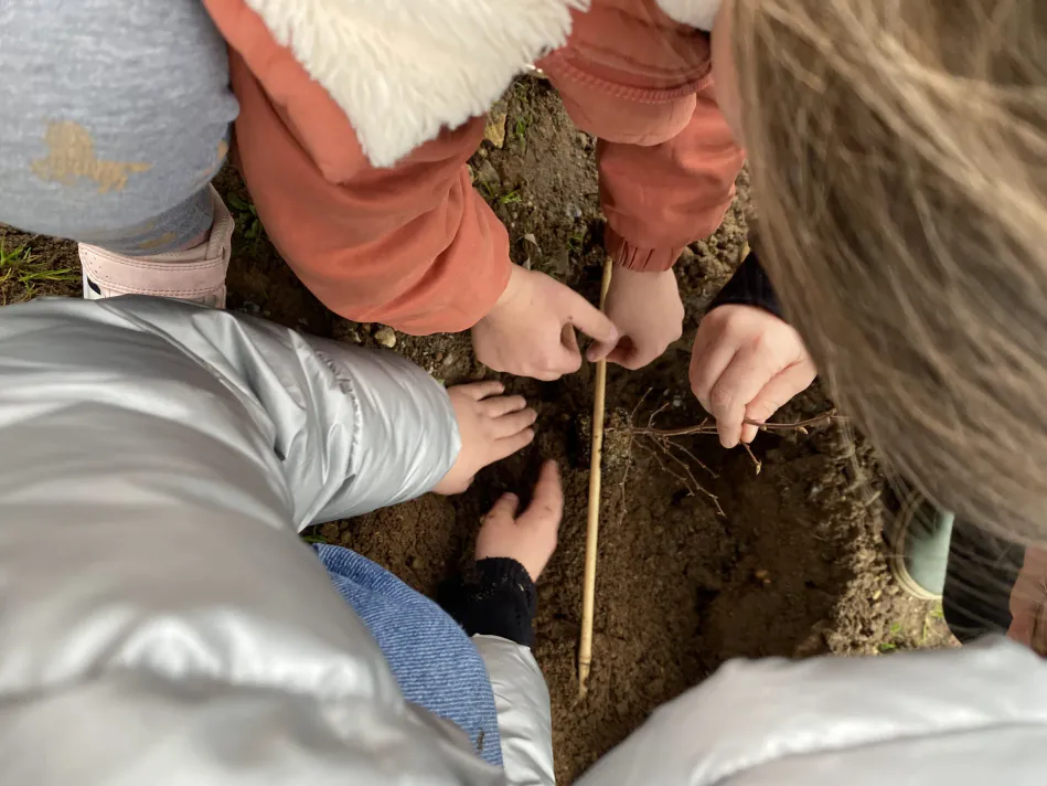 PLANTATIONS ! Les dates sur novembre et décembre 2025