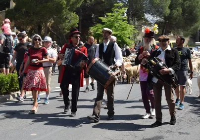 Rue vendres 2018 rec