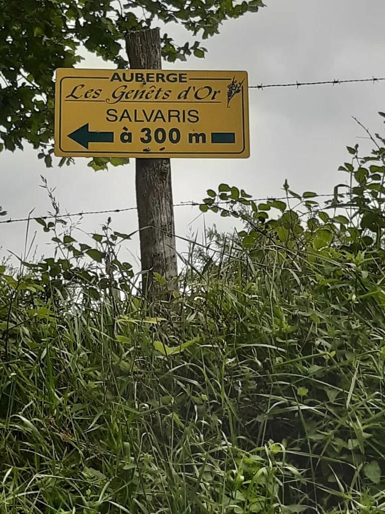 20240622 123154 copier