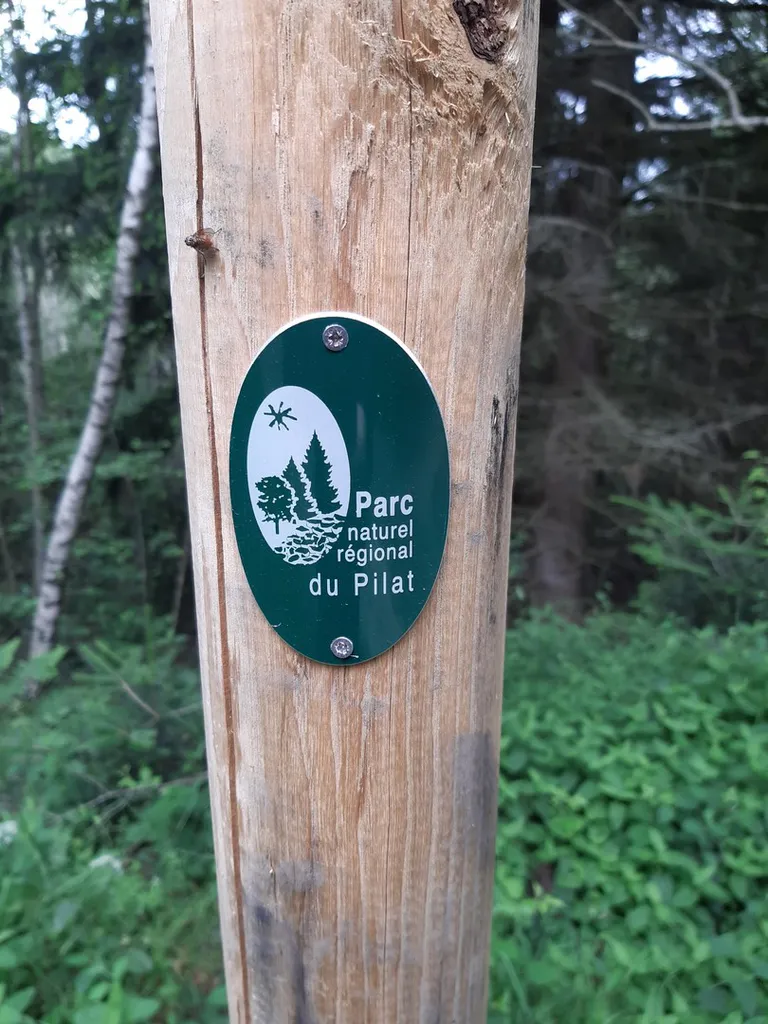 20240622 122506 copier