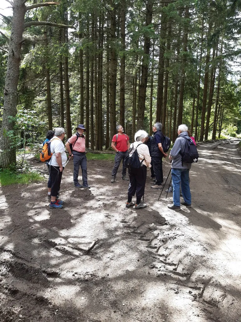 20240622 114752 copier