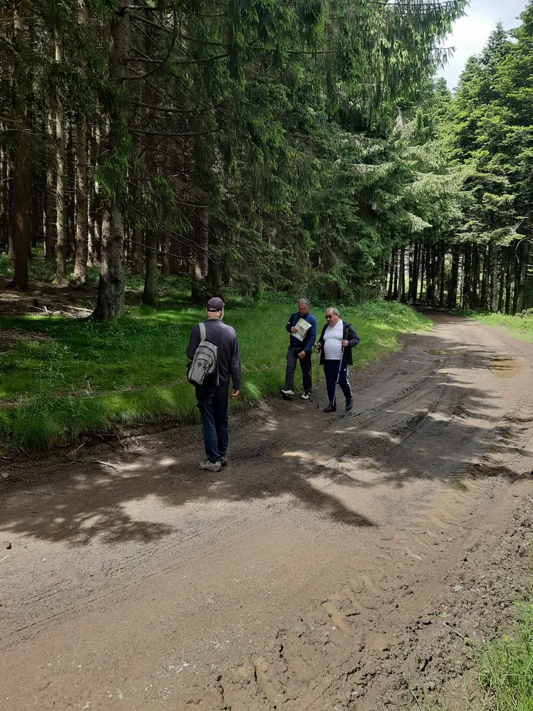 20240622 114732 copier