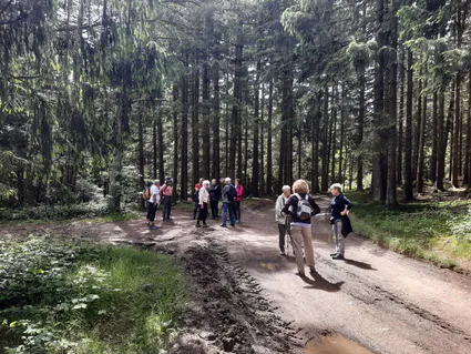 20240622 114654 copier