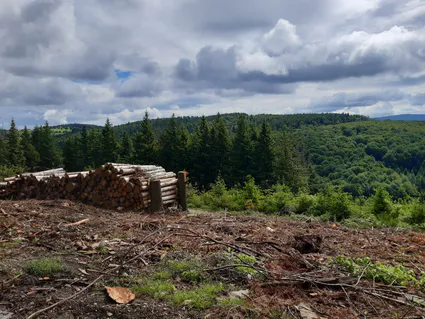 20240622 111700 copier