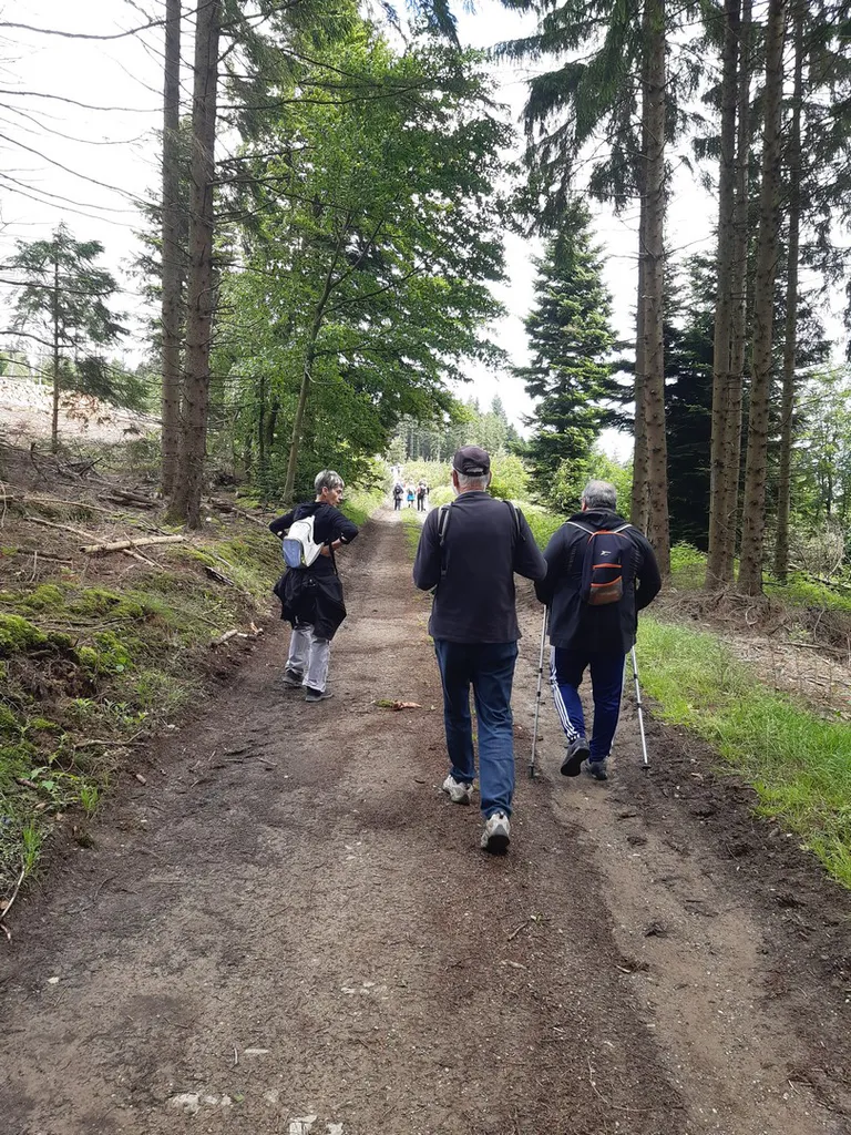 20240622 111121 copier