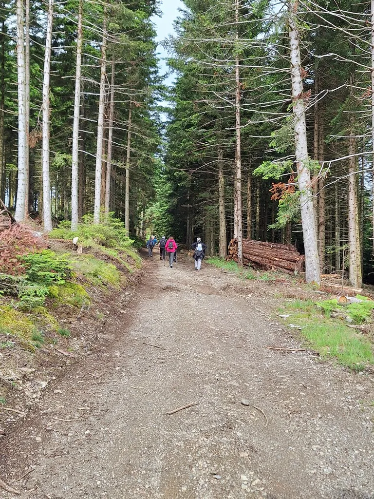 20240622 110221 copier