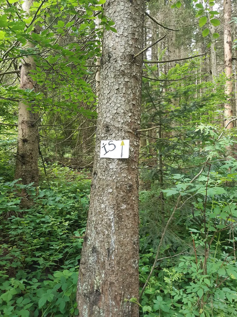 20240622 103506 copier