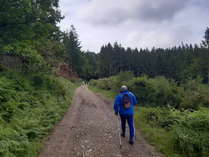 20240622 103131 copier