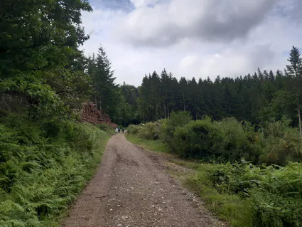 20240622 103127 copier