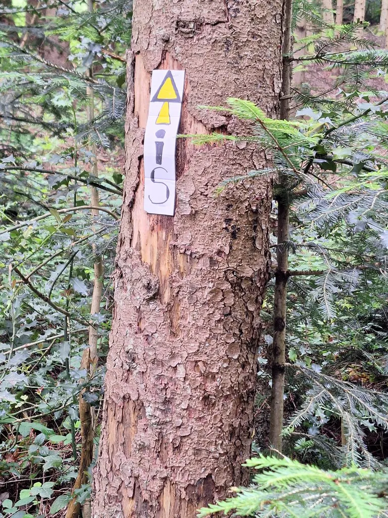 20240622 103120 copier