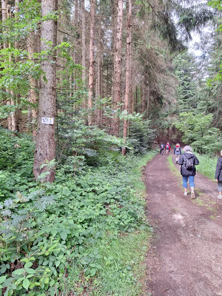 20240622 103058 copier