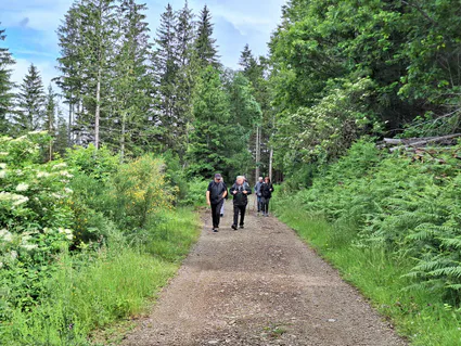 20240622 102859 copier