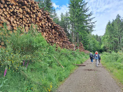 20240622 102848 copier