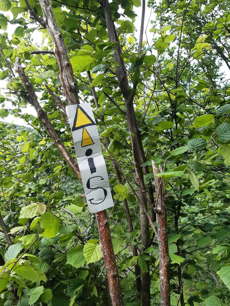 20240622 102011 copier