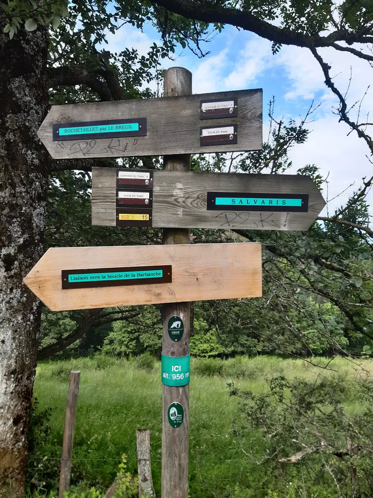 20240622 101950 copier