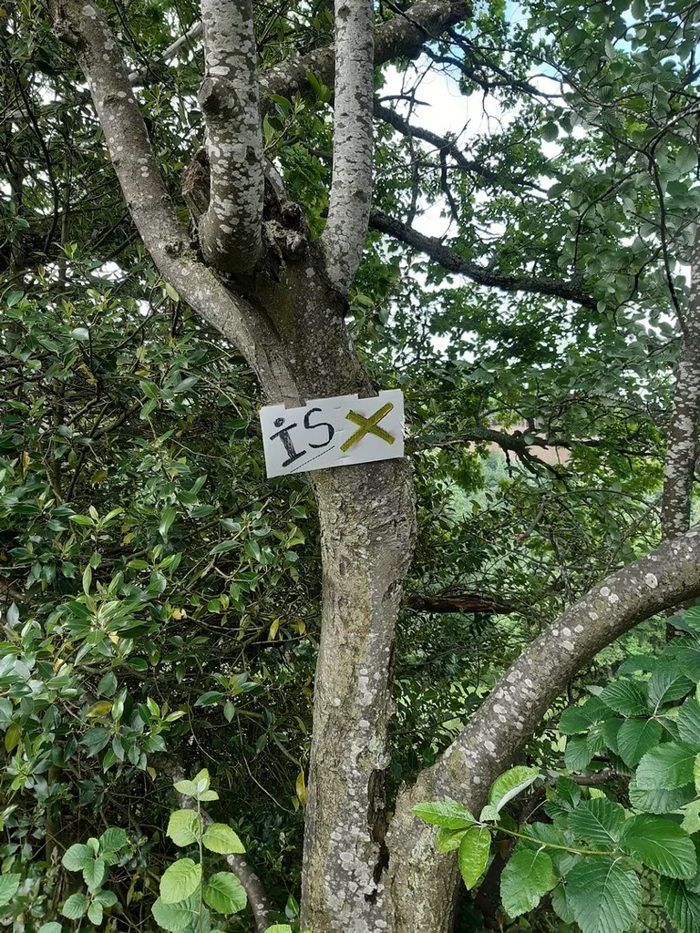 20240622 101934 copier