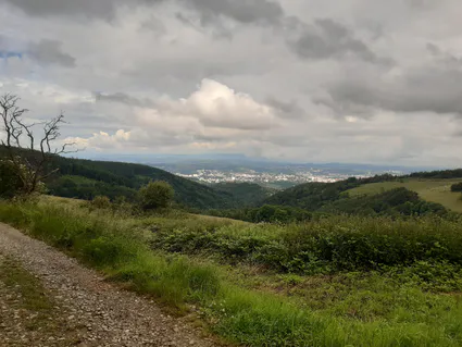 20240622 100730 copier