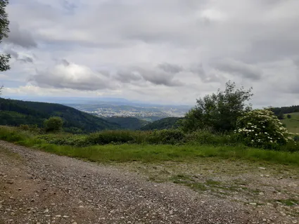 20240622 100117 copier