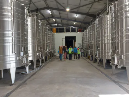 Domaine de carcenac 23 11 2024 7