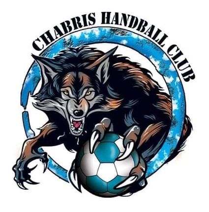 Logo-handball