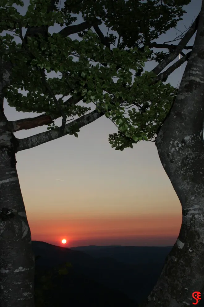 Soleil sur ciry 08 09 2012 1024x768