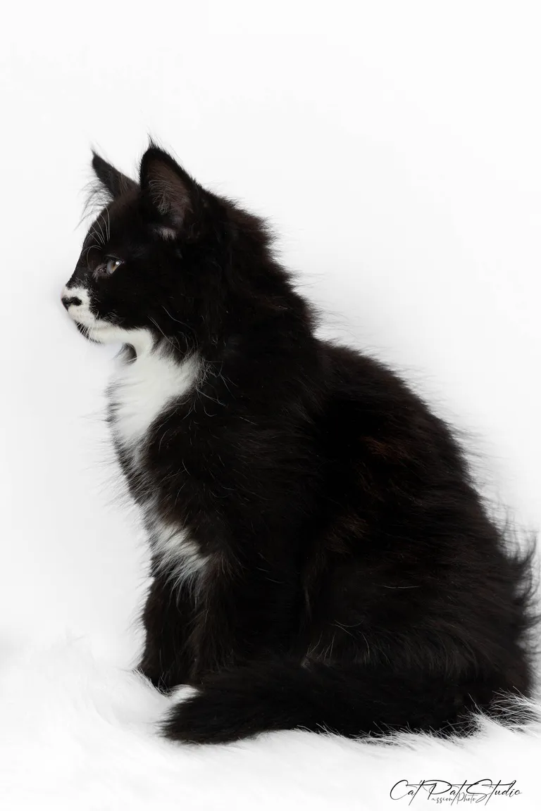 422372525 10210828886196185 9153904592300992725 n