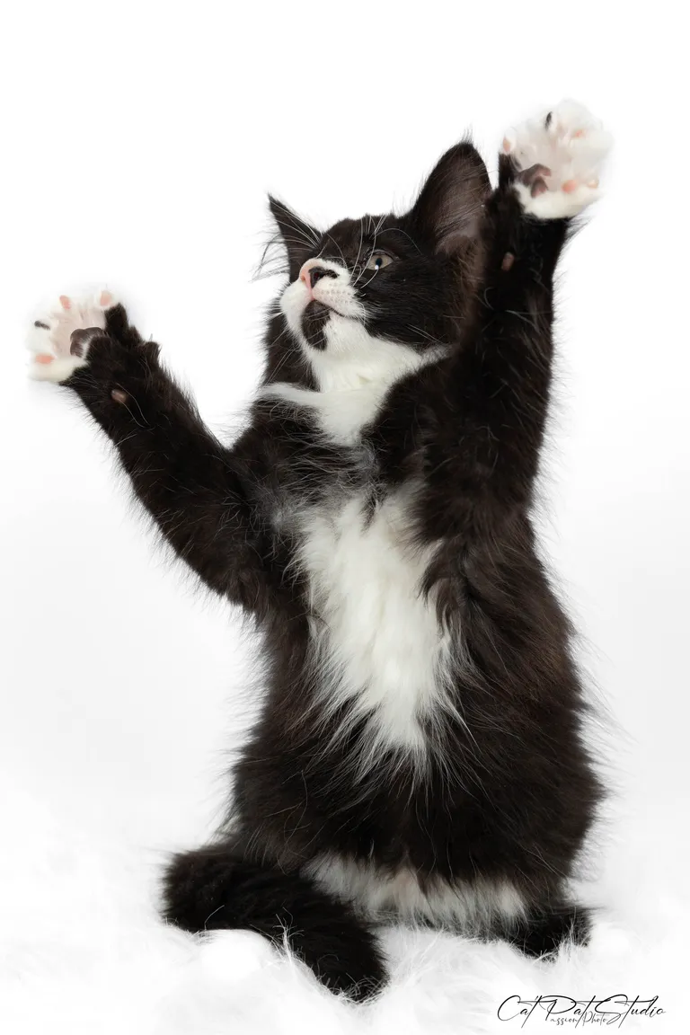 422332326 10210828887276212 239266192679602150 n