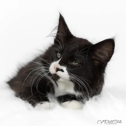 422345893 10210828888316238 4099477559181368102 n