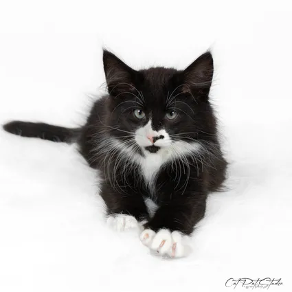 422334116 10210828888716248 6033752218939614140 n