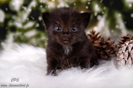 322954028 1038048477597832 7857973875081635473 n