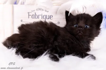 328253768 741527030661964 14138937813765683 n