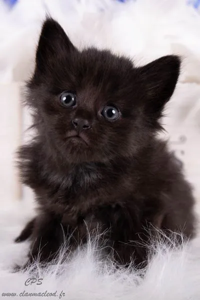 328271303 634002841864586 4729196220687602208 n