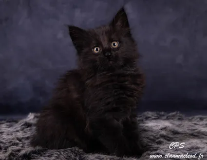 330381678 599715018642411 6015557995867310522 n