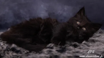 330829300 1577563365989422 3287320355106772146 n