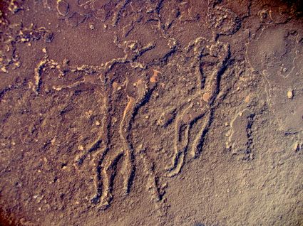 Sahara mauritanie 2cv dunes gps de sert cyril et sylvie gravure rupestre