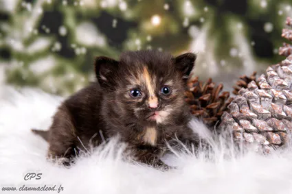 322192842 1116382509060321 5218285296107430515 n