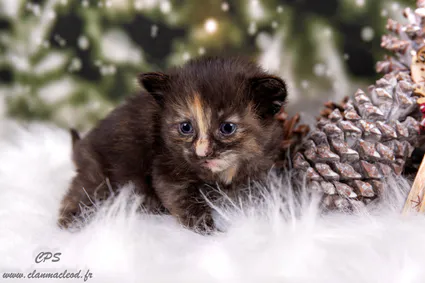 322954372 608700871266800 7423158563010443133 n