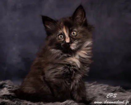 329389905 6035820003132123 4564672893662527788 n