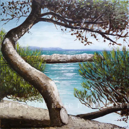 22009 70x70cm ste croix martigues
