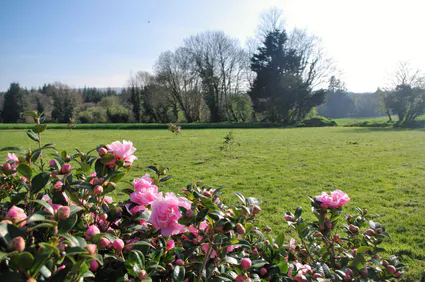 Jardin 3