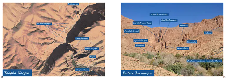 Screenshot 2020 03 26 at 11 31 57