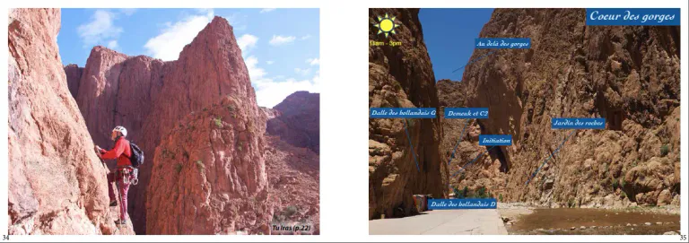 Screenshot 2020 03 26 at 11 34 07