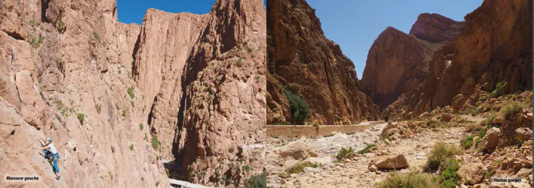 Screenshot 2020 03 26 at 11 37 48