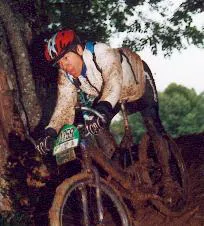 Vtt forest 2001 2