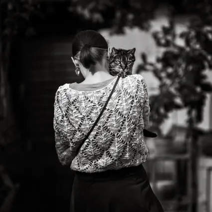 Photo portrait artistique noir et blanc chat dans les bras