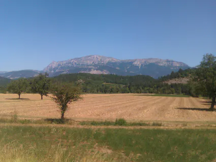 Imag0257