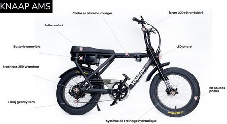 Vélo électrique biplace AMS - Marque KNAAP